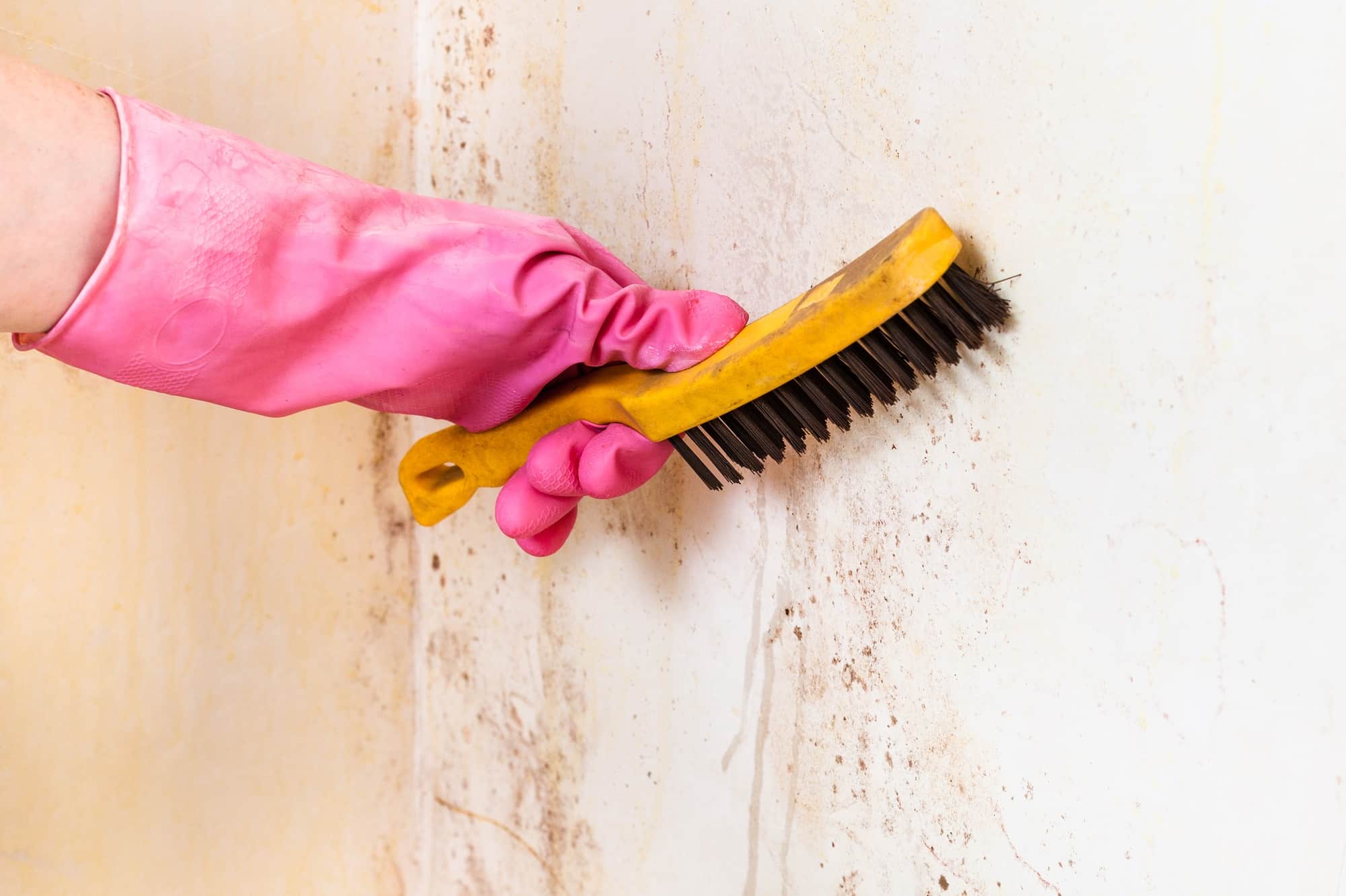 Muur schoonmaken van schimmel met borstel | Hoe schimmel badkamer schoonmaken | Asenso Schoonmaakdiensten