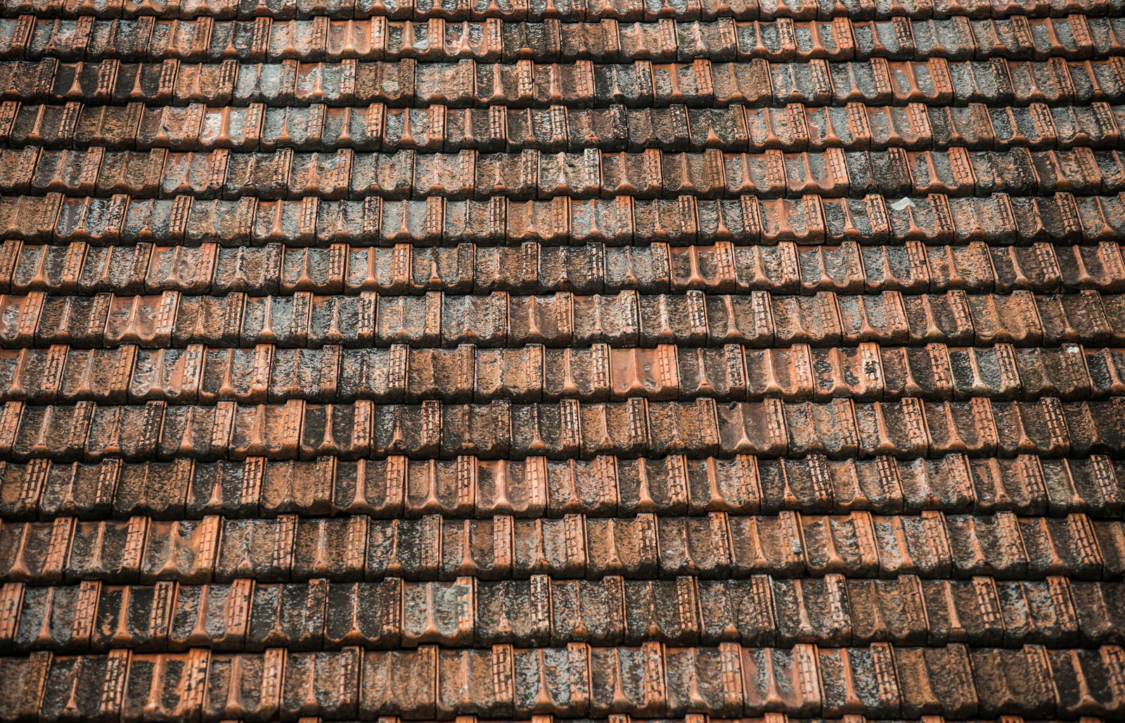 Dakpannen reinigen, oude dakpannen met aanslag | Asenso Schoonmaakdiensten