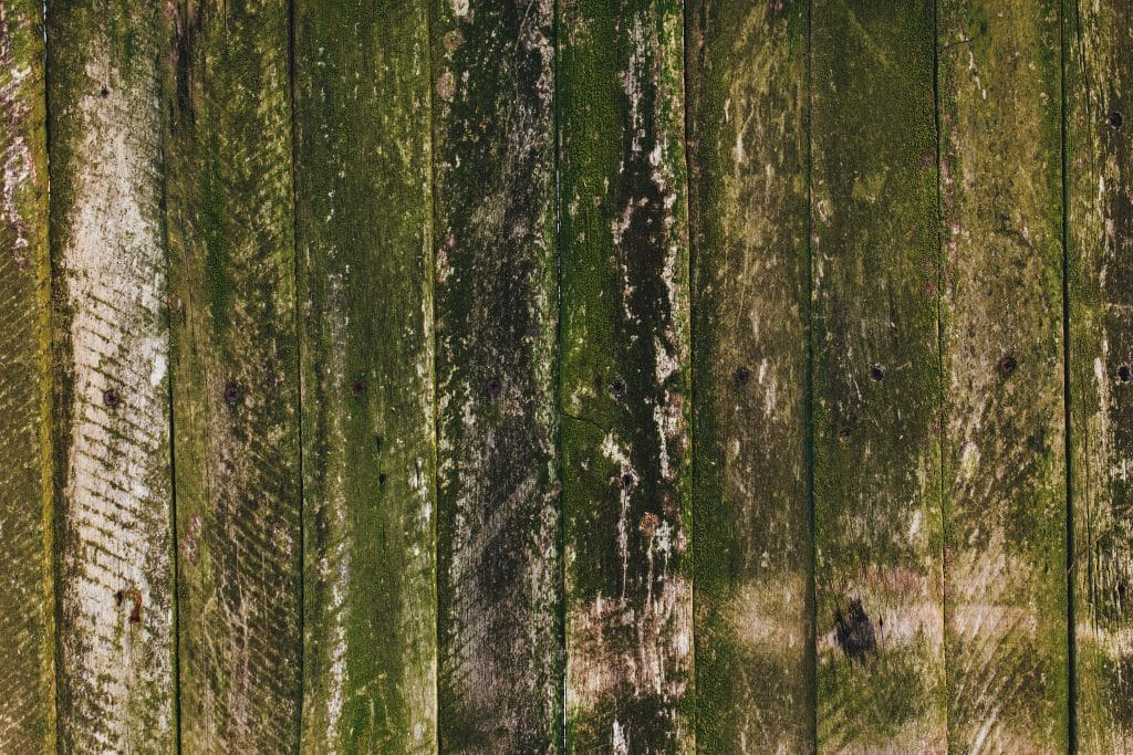 Houten hek met groen-oranje aanslag | Groene aanslag van hout verwijderen | Asenso Schoonmaakdiensten