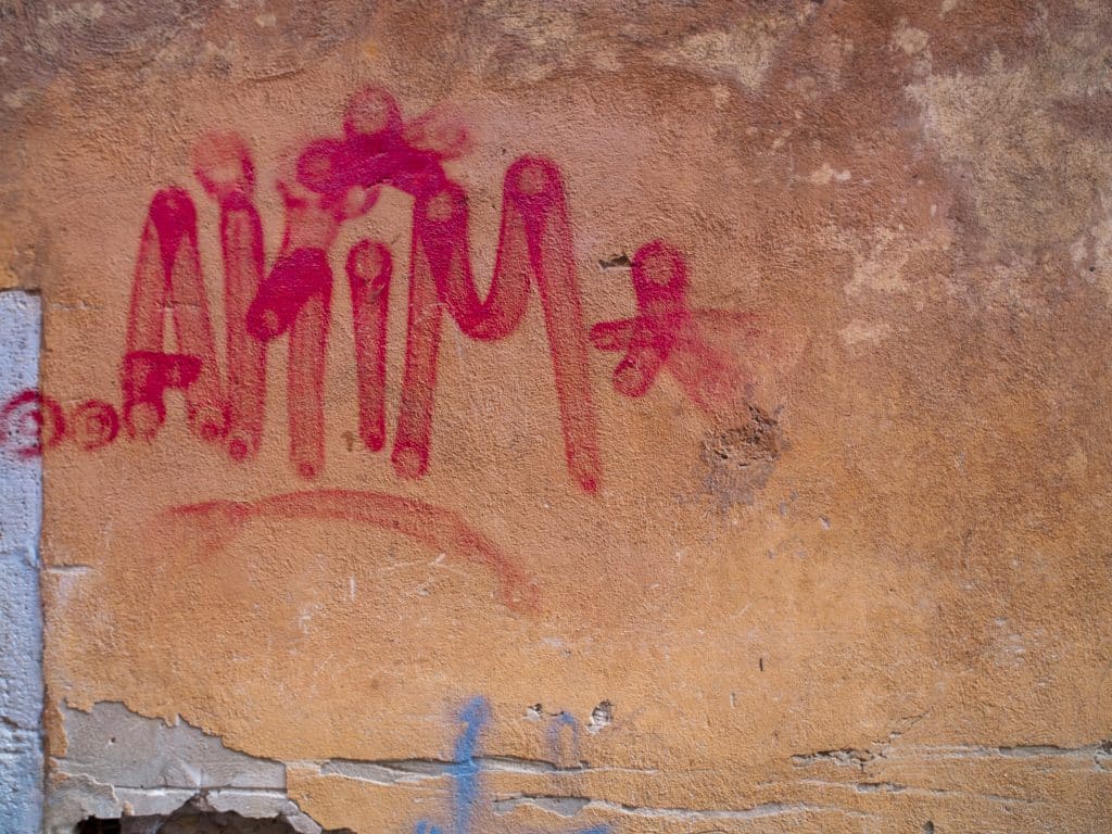 Roze graffiti tag op een bruine muur | Graffiti verwijderen | Asenso Schoonmaakdiensten