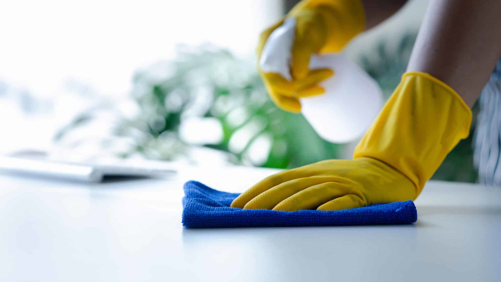 Close-up van handen in gele schoonmaakhandschoenen die met een dweiltje en spray een oppervlakte schoonmaken | Schoonmaakfouten | Asenso Schoonmaakdiensten