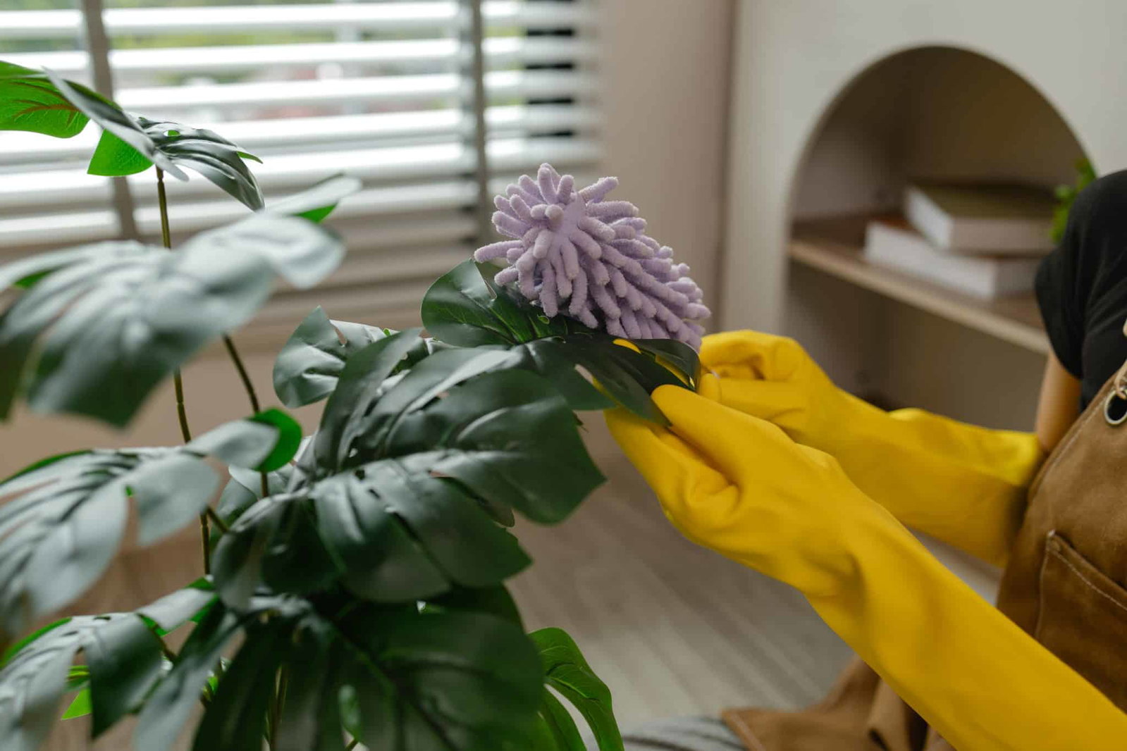 Close-up van handen die plant afstoffen | Huis schoonmaken bij hooikoorts | Asenso Schoonmaakdiensten