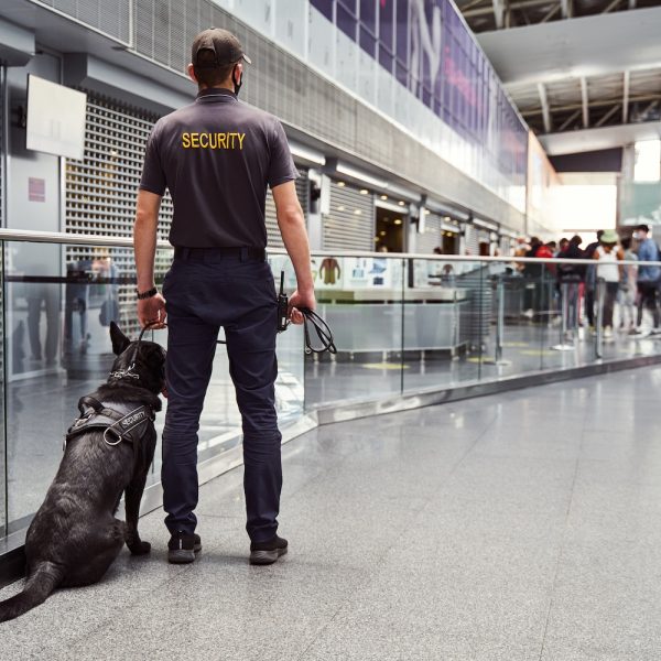 Back view of male security officer with police dog standing in airport terminal